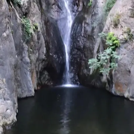 Des Fleurs Appartement *