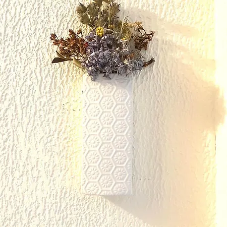 Des Fleurs Appartement Céret