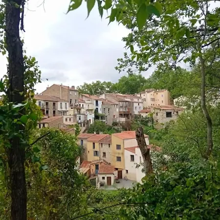 Appartement Des Fleurs